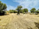 Αγροτεμάχια 2.945τ.μ. για πώληση-Γέρακας » Σταυρός γέρακα