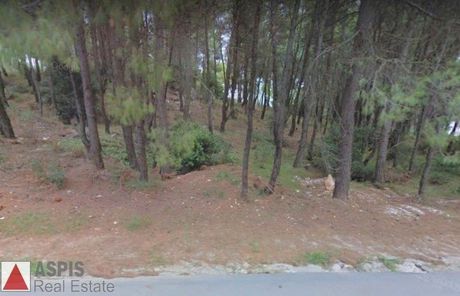Οικόπεδο 1.800 τ.μ. για πώληση