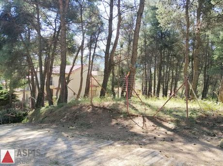 Οικόπεδο 800 τ.μ. για πώληση