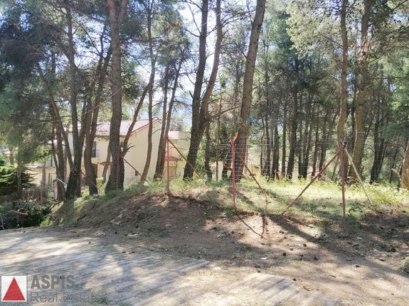 Οικόπεδο 800 τ.μ. για πώληση, Αθήνα - Βόρεια Προάστια, Διόνυσος