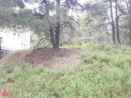 Land plot 805sqm for sale-Afidnes