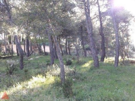 Οικόπεδο 800 τ.μ. για πώληση
