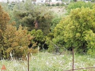 Οικόπεδο 3.200 τ.μ. πρός πώληση