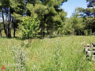 Οικόπεδο 420 τ.μ. προς πώληση