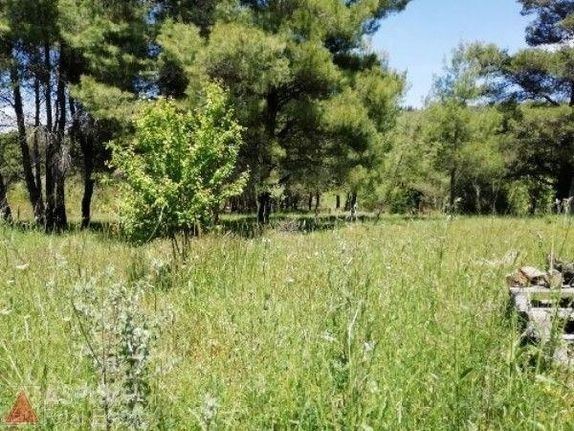 Land plot 420 sqm for sale, Athens - North, Agios Stefanos