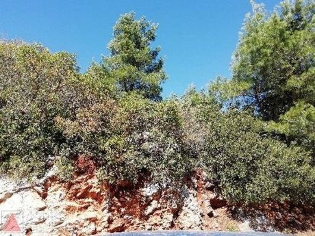 Land plot 941sqm for sale-Afidnes