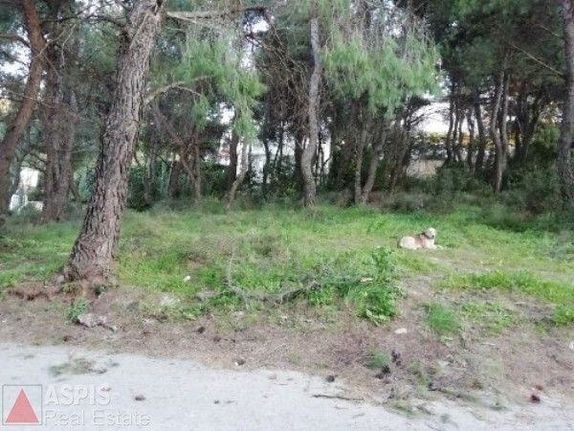 Οικόπεδο 815 τ.μ. για πώληση, Αθήνα - Βόρεια Προάστια, Διόνυσος