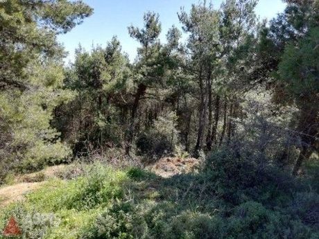 Land plot 2.142sqm for sale-Afidnes