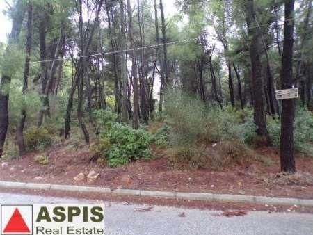 Land plot 815sqm for sale-Dionisos