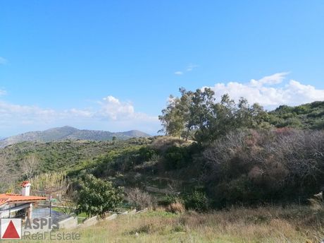 Οικόπεδο 850τ.μ. για πώληση-Διόνυσος