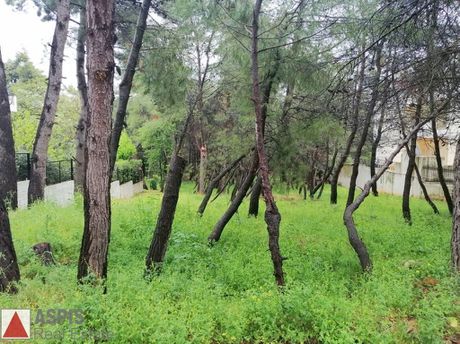 Οικόπεδο 1.029τ.μ. για πώληση-Διόνυσος