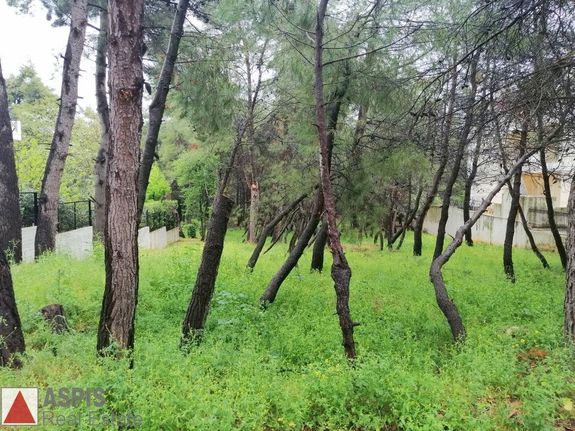 Land plot 1.029 sqm for sale, Athens - North, Dionisos