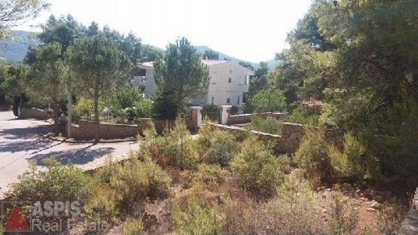 Μονοκατοικία 460 τ.μ. προς πώληση, Αγία Τριάδα Αφιδνών