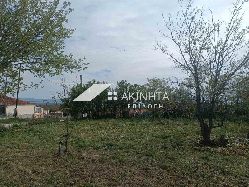 Μονοκατοικία 67 τ.μ. πρός πώληση, Εβρος, Τραϊανούπολη