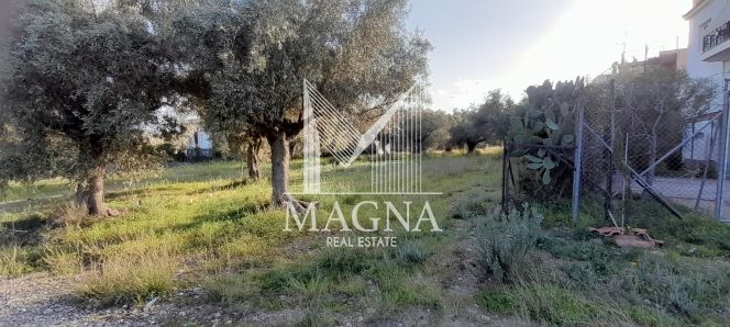Οικόπεδο 1.494 τ.μ. για πώληση, Αττική - Υπόλοιπο, Νέα Πέραμος (μεγάλο Πεύκο)