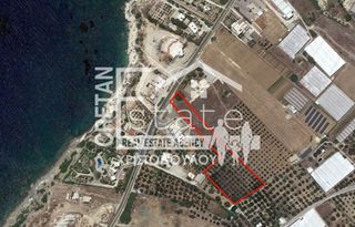 Αγροτεμάχια 6.000 τ.μ. για πώληση