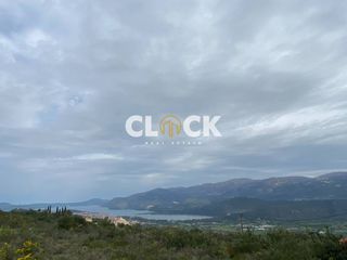 Αγροτεμάχια 4.028 τ.μ. για πώληση