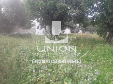 Οικόπεδο 549τ.μ. για πώληση-Καλύβια θορικού » Λαγονήσι