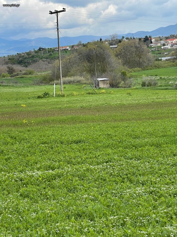 Αγροτεμάχια 9.686 τ.μ. πρός πώληση, Φθιώτιδας, Δομοκός