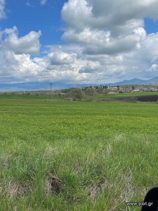 Parcel 9.686 sqm for sale, Phthiotis, Domokos