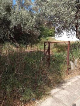 Αγροτεμάχια 250 τ.μ. για πώληση