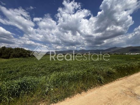 Αγροτεμάχια 5.198τ.μ. για πώληση-Θέρμη » Περιστερά