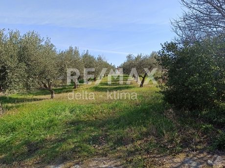 Οικόπεδο 893τ.μ. για πώληση-Μεθώνη » Κέντρο