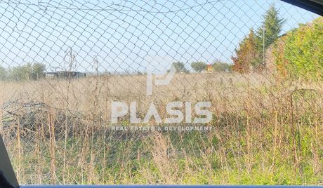 Αγροτεμάχια 4.000τ.μ. για πώληση-Μίκρα