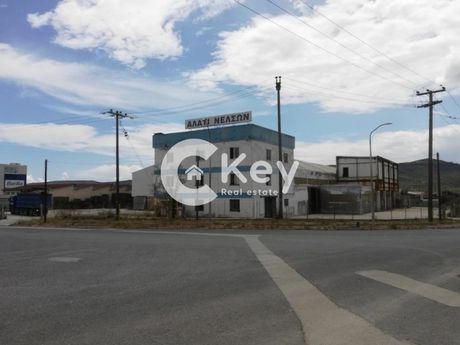 Βιομηχανικός χώρος 2.571τ.μ. για πώληση-Βόλος » Αγ. ανάργυροι
