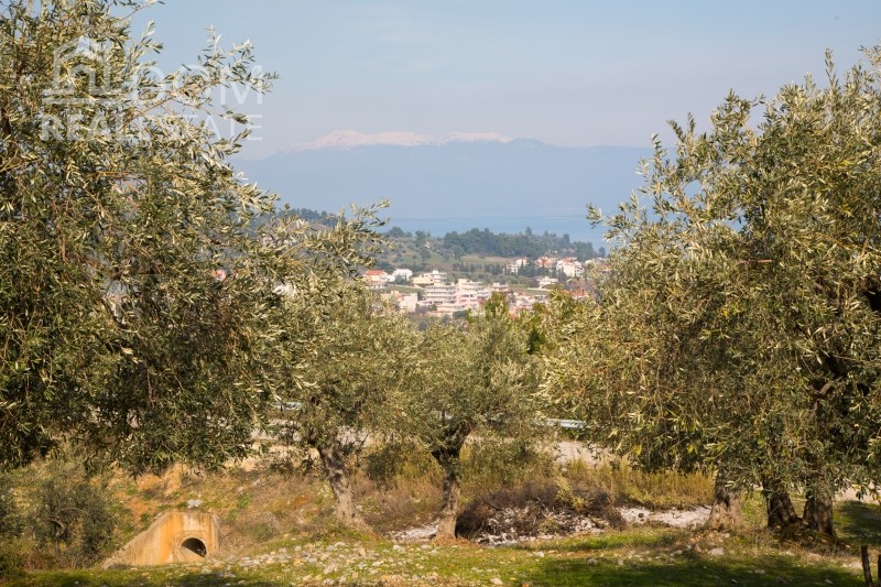 Αγροτεμάχια 5.500 τ.μ. προς πώληση, Αγνάντι Αγίου Κωνσταντίνου