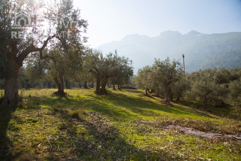 Αγροτεμάχια 5.500 τ.μ. προς πώληση, Αγνάντι Αγίου Κωνσταντίνου