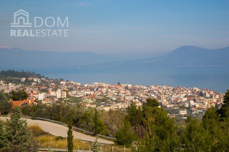 Αγροτεμάχια 5.500 τ.μ. προς πώληση
