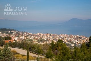 Αγροτεμάχια 5.500 τ.μ. για πώληση