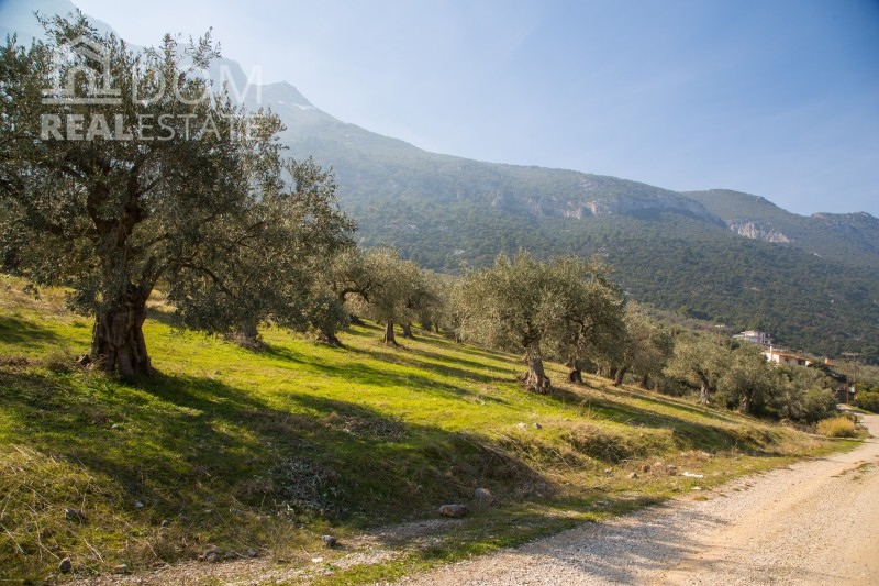 Αγροτεμάχια 5.500 τ.μ. προς πώληση, Αγνάντι Αγίου Κωνσταντίνου