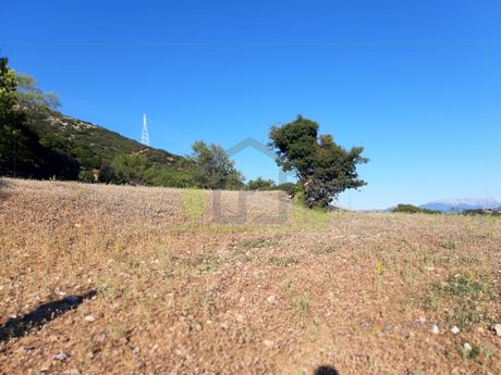 Αγροτεμάχια 12.000τ.μ. για πώληση-Λεόντιο » Κέντρο