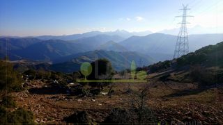 Αγροτεμάχια 12.000 τ.μ. για πώληση, Αχαΐα, Λεόντιο-thumb-8
