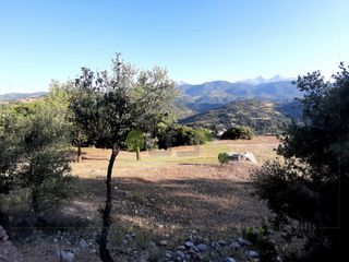 Αγροτεμάχια 12.000 τ.μ. για πώληση, Αχαΐα, Λεόντιο-thumb-9
