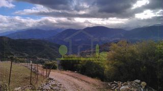 Αγροτεμάχια 12.000 τ.μ. για πώληση, Αχαΐα, Λεόντιο-thumb-2
