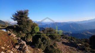 Αγροτεμάχια 12.000 τ.μ. για πώληση, Αχαΐα, Λεόντιο-thumb-12