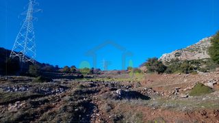 Αγροτεμάχια 12.000 τ.μ. για πώληση, Αχαΐα, Λεόντιο-thumb-11