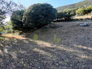 Αγροτεμάχια 12.000 τ.μ. για πώληση, Αχαΐα, Λεόντιο-thumb-7