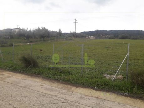 Αγροτεμάχια 1.000τ.μ. για πώληση-Φαρές » Βασιλικό