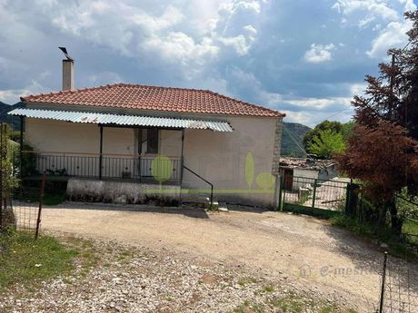 Μονοκατοικία 100τ.μ. για πώληση-Λεόντιο » Κέντρο