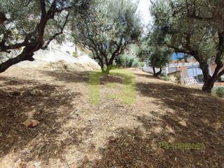 Οικόπεδο 535 τ.μ. για πώληση, Αχαΐα, Μεσσατίδα-thumb-20