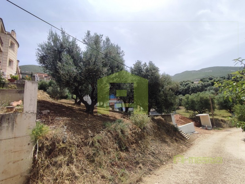 Οικόπεδο 535 τ.μ. προς πώληση, Κρήνη Μεσσάτιδας