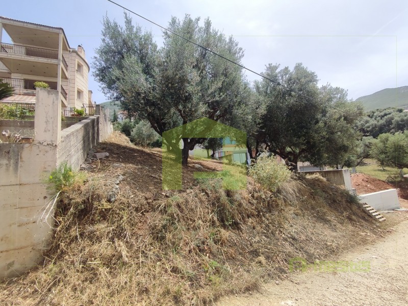 Οικόπεδο 535 τ.μ. προς πώληση, Κρήνη Μεσσάτιδας