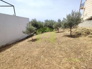 Οικόπεδο 535 τ.μ. για πώληση, Αχαΐα, Μεσσατίδα-thumb-18