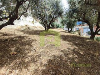 Οικόπεδο 535 τ.μ. για πώληση, Αχαΐα, Μεσσατίδα-thumb-19