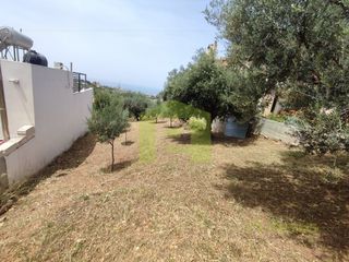 Οικόπεδο 535 τ.μ. για πώληση, Αχαΐα, Μεσσατίδα-thumb-14