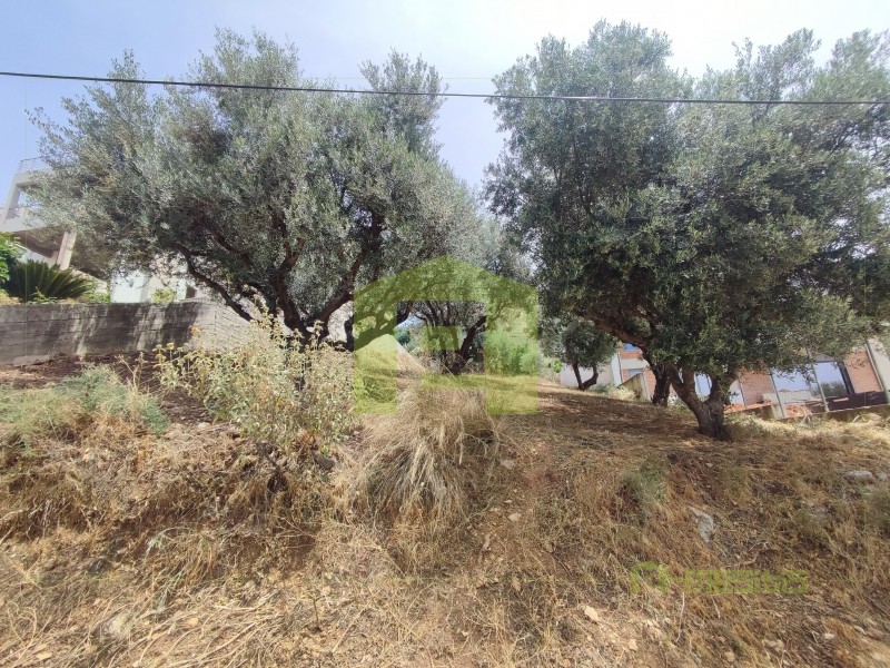 Οικόπεδο 535 τ.μ. προς πώληση, Κρήνη Μεσσάτιδας